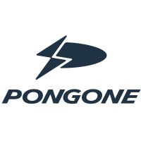 Pongone logo - Similar company to Palkan