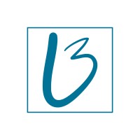 Brundtland® Sustainability Agency logo - Similar company to El Niño - Digital Development