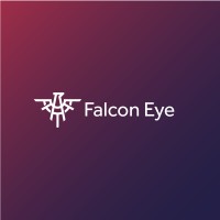 FalconEye Marketing Agency logo - Similar company to Force Marketing Agency