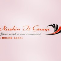 Nazhin logo - Similar company to Nazhin