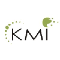 KMI Business Technologies Pvt. Ltd. logo - Similar company to Amoli Enterprises Ltd.