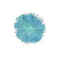 Blue Mind Health logo - Similar company to Blue Mind Yachting
