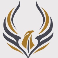 Sahara Falcon logo - Similar company to Merrycorner Corp