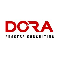 Rapp Process Consulting, Inc.
