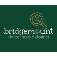 Bridgemount Solutions Inc. logo - Similar company to Aspire Vision Group