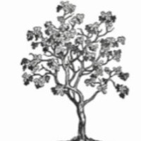 Elite Funding and Investment Group LLC