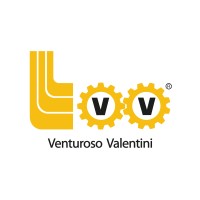 Venturoso Valentini logo - Similar company to Acedata Software