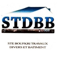 STDBB logo - Similar company to Binyan