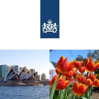 Embassy and Consulate-General of the Kingdom of the Netherlands in Australia logo - Similar company to Dutchsa - Australian Netherlands Chamber Of Commerce