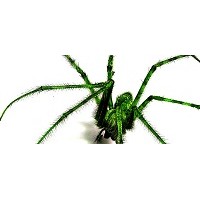 web-spider-scraping.com logo - Similar company to Web Data Scraping
