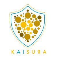 Kaisura, Inc. logo - Similar company to Tecficient