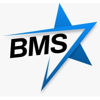 Bluestar Management Systems logo - Similar company to Mexef Quality Source