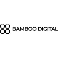 Bamboo Digital - Marketing Advisory & Technical Execution logo - Similar company to Bamboo Digital