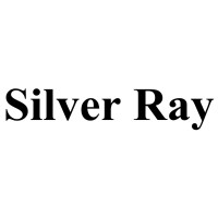 Silver Ray logo - Similar company to Build Well Engineers