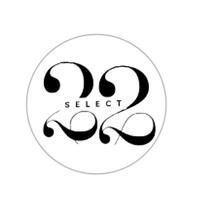 22 Select logo - Similar company to Pinnacle Performance Group