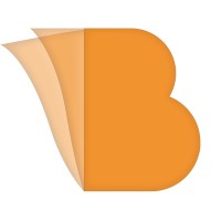 BCASH GREECE INC logo - Similar company to Pk Data Software