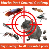 Remedia Pest Control logo - Similar company to Samiksha Foundation- Caring For Children With Cancer Trust