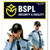 BSPL Placement And Recruitment logo - Similar company to Bspl India Pvt Ltd
