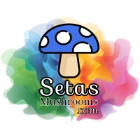 Setas Mushrooms logo - Similar company to Maximum Justice Cybersecurity