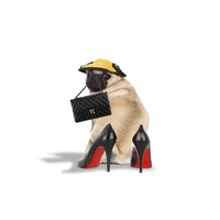 Tailored Dog, Inc. logo - Similar company to Trespaws