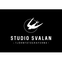 Studio Svalan logo - Similar company to Brundingroup