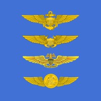 Friends of Naval Aviation, Inc. logo - Similar company to Training Squadron Two (Vt-2)