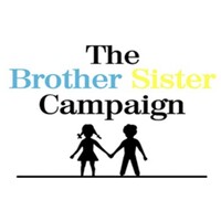 The Brother Sister Campaign logo - Similar company to Boys To Men Mentoring Network