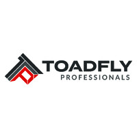 Toadfly Professionals logo - Similar company to Toadfly Technologies, Llc