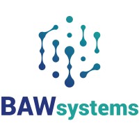 BAW Systems logo - Similar company to Datalyst