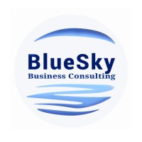 BlueSky Business Consulting logo - Similar company to Viktori