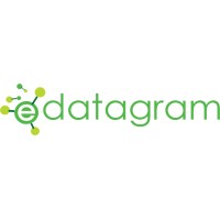 eDatagram logo - Similar company to Roiya Computer Co.