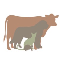 Lewis And Clark Veterinary Clinic