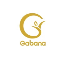 Ethiogabana logo - Similar company to Elnet Foundation