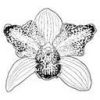 Reclutamiento ORCHID HOUSE HOTELS logo - Similar company to Hotel Del Prado Cdmx