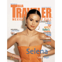 TRAVELER Publications logo - Similar company to Delta Sky Magazine