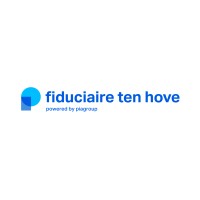 Fiduciaire Ten Hove logo - Similar company to Vds Electronics Nv