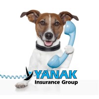 Yanak Insurance Group logo - Similar company to Smartwork Service Llc