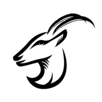 Springbok Capital logo - Similar company to Spring River Capital