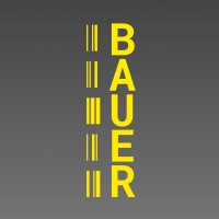 Bauer Anlagentechnik AG logo - Similar company to Lang International Gmbh