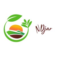 Ndjar logo - Similar company to Thingle.