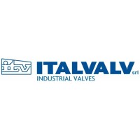 ITALVALV SRL logo - Similar company to Vimec Valves - Vimec Group Italia Srl