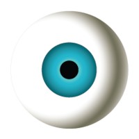 Sfera Optical logo - Similar company to O2Conversion