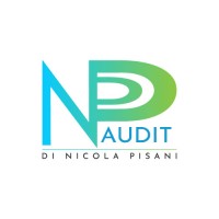 NP Audit logo - Similar company to Ceda Service