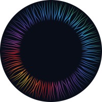 Iris Cocreative logo - Similar company to Enliven Academy