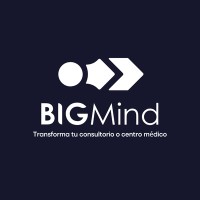 Big Mind logo - Similar company to Big Mind Technologies