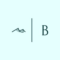 Bare logo - Similar company to Dartle