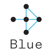 Blue Holdings logo - Similar company to Blue Stallion Technologies
