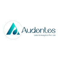 Audentes Labs & Analytics Pvt Ltd logo - Similar company to Cmonde Studios