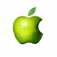 Apple Holidays logo - Similar company to Aahaas