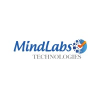 Mindlabs Technologies LLC logo - Similar company to Infinity Data Systems